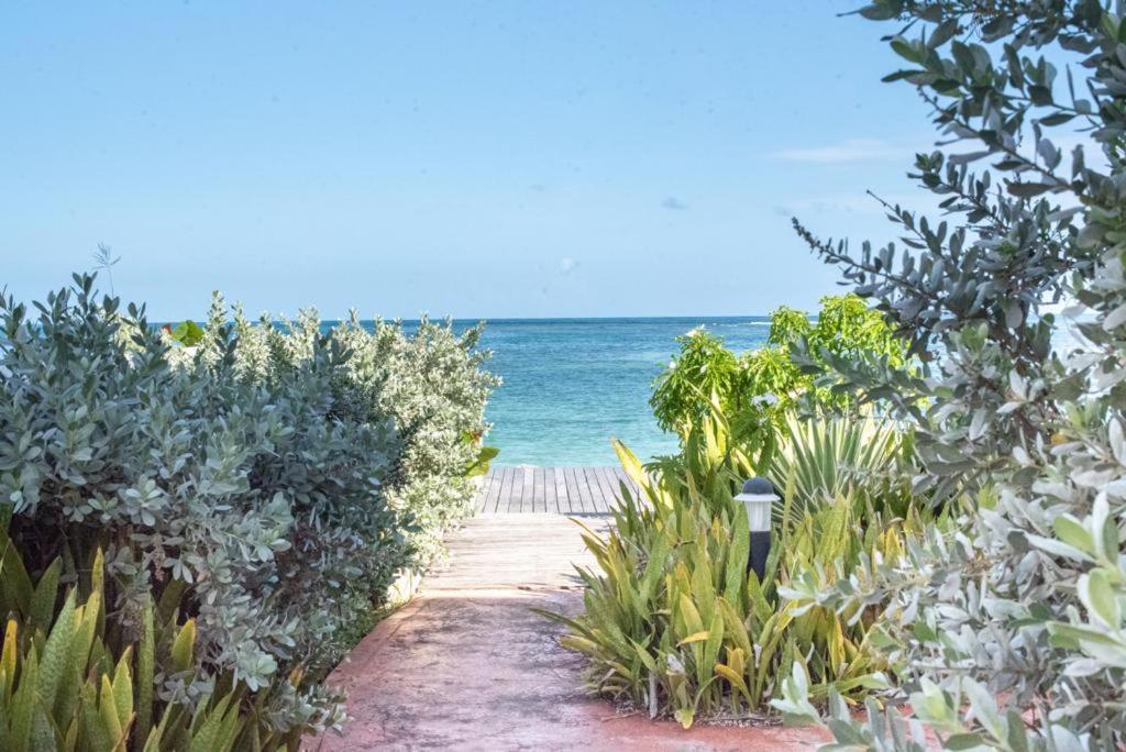 Ferienwohnung Pasha - Ocean View Sainte-Anne  Exterior foto